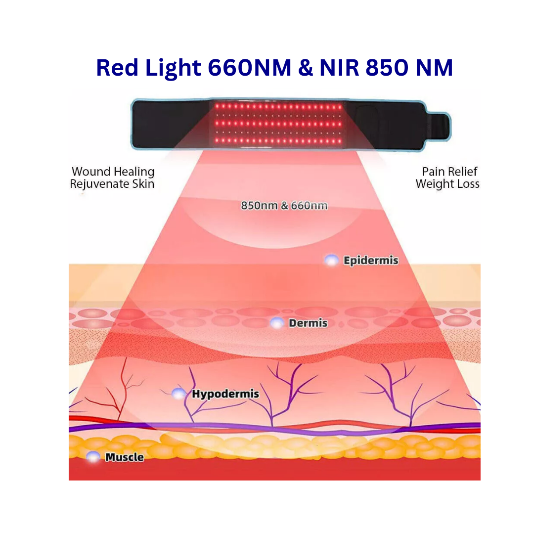 RevitalRecovery Red Light Belt