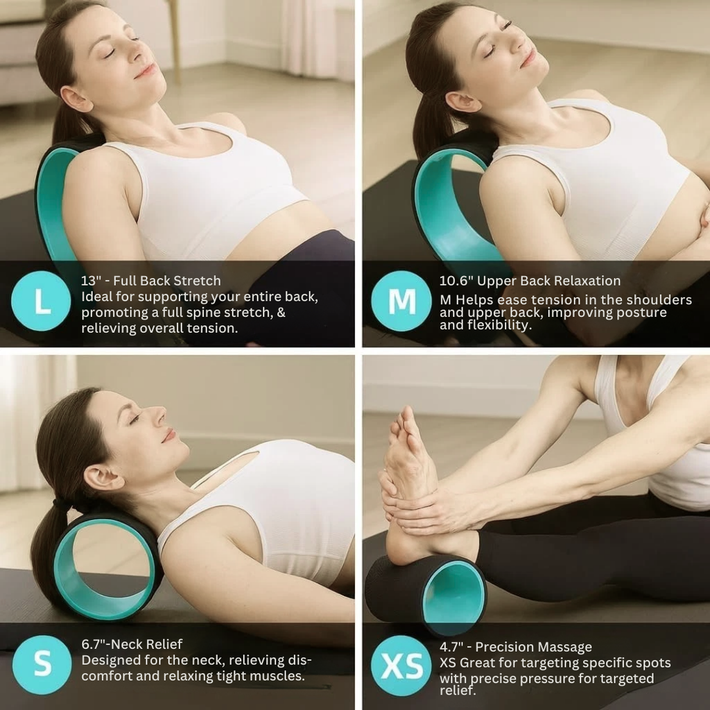 BackFlow Mobility Wheel