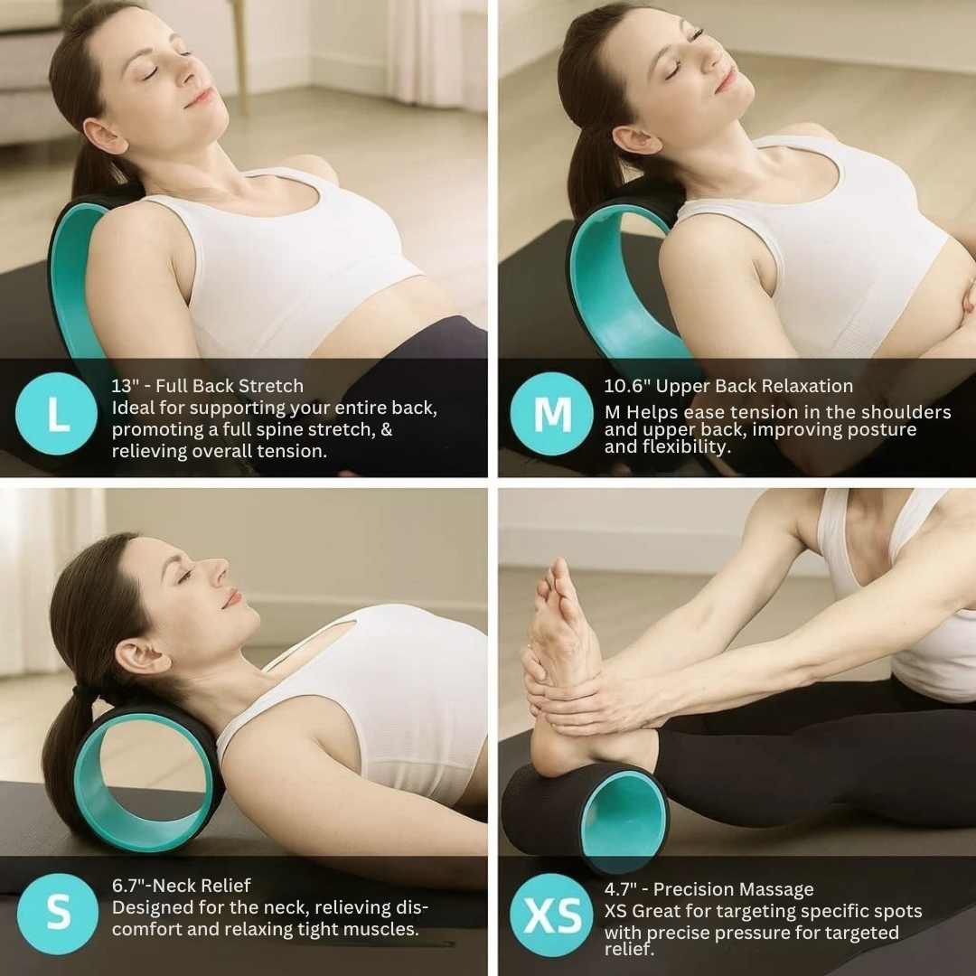 BackFlow Mobility Wheel