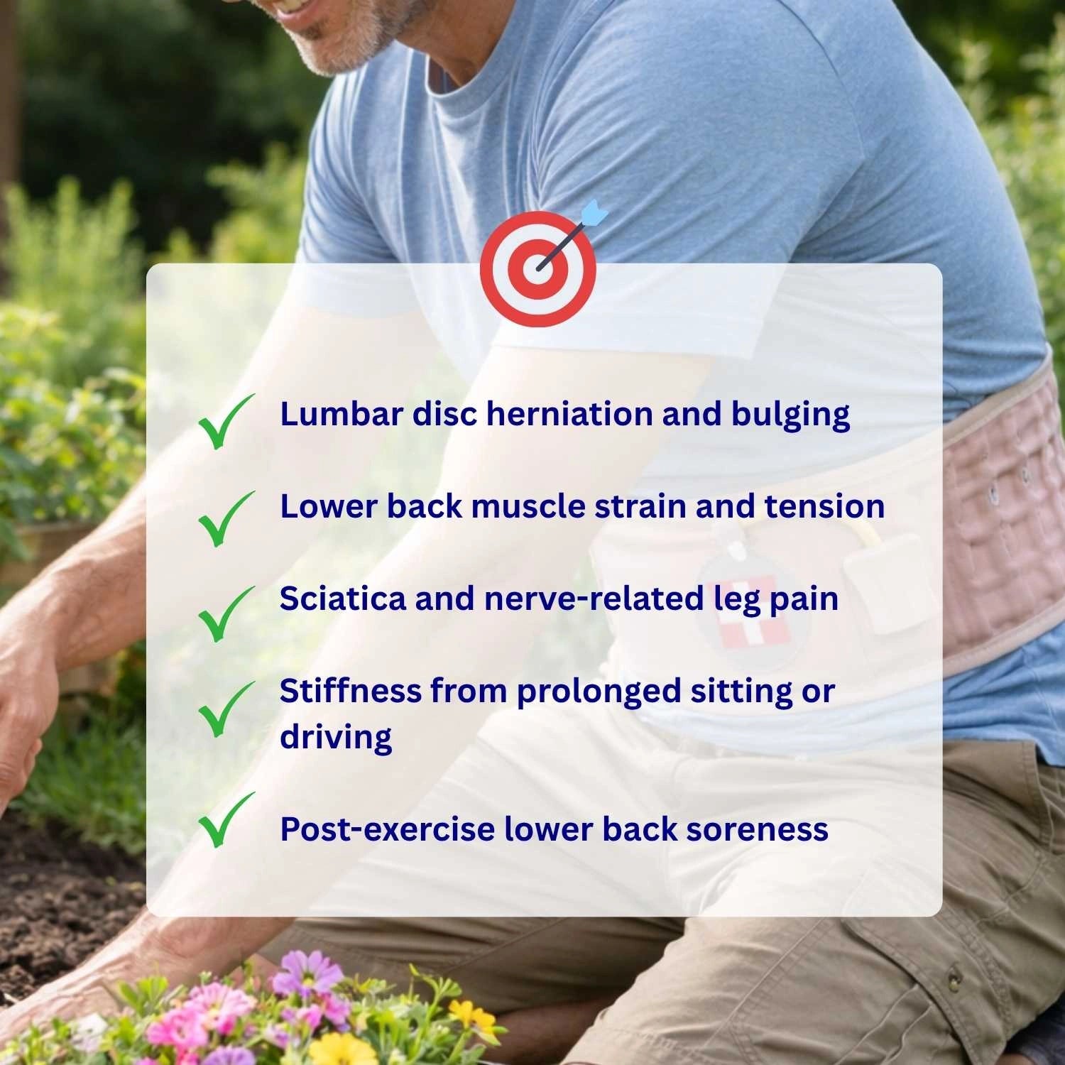 SpineEase Decompression Belt