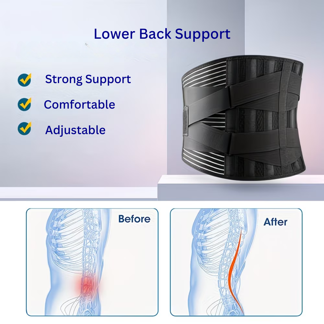 Premium Lumbar Back Support