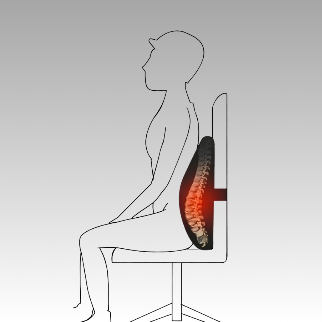 LumbarSupport Office Pillow