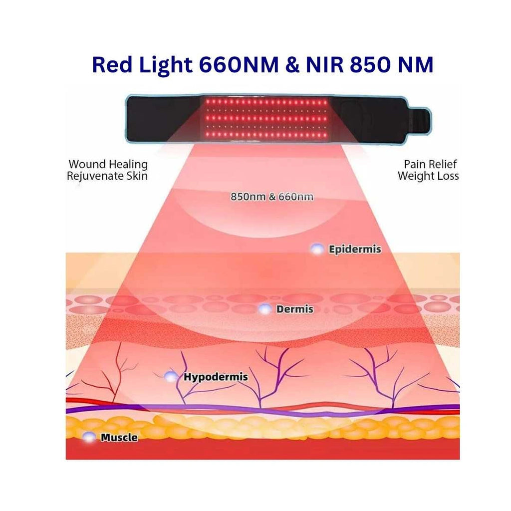 RevitalRecovery Red Light Belt